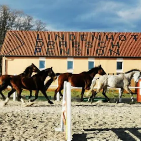 Lindenhof Drabsch 3* Neuzelle