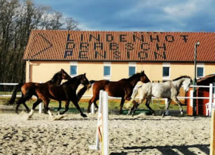 Lindenhof Drabsch 3* Neuzelle