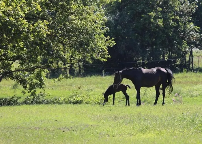 Lindenhof Drabsch Neuzelle